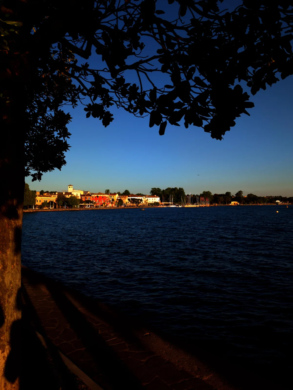 A warm evening view over Lago di Garda photographed with the Vivid 100 film look, captured in-camera with Lvma