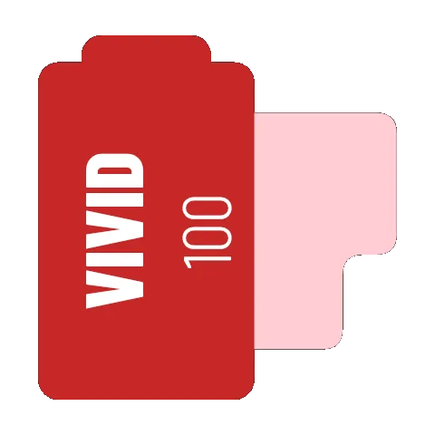 Vivid 100 film look icon styled as a film roll